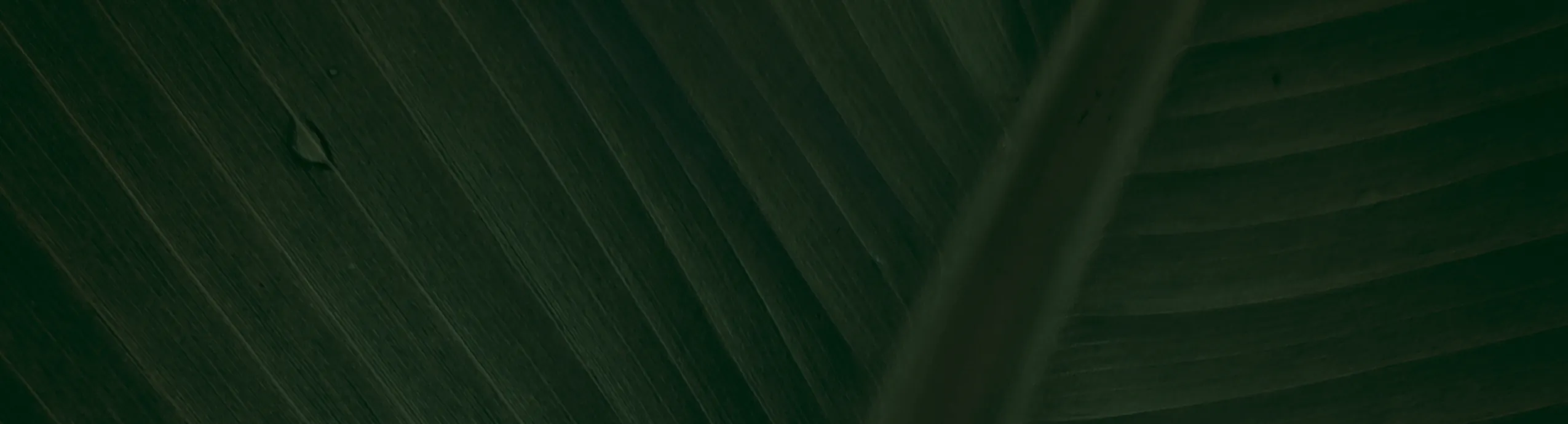 Ref.FMJ0027.Centro para Asientos Traseros en tonos verdes, blancos y amarillos.