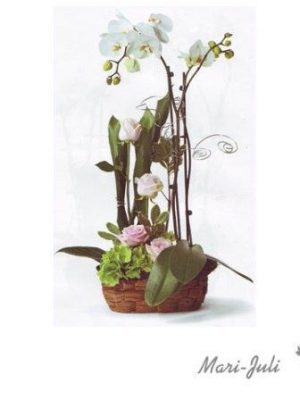 Ref.ES5MIM.Planta Orquídea Phalaenopsis rosas Blancos con base.