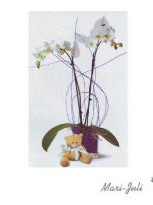 Ref.ES5ESP.Planta Orquidea Phalaenopsis Jarrón Peluche.