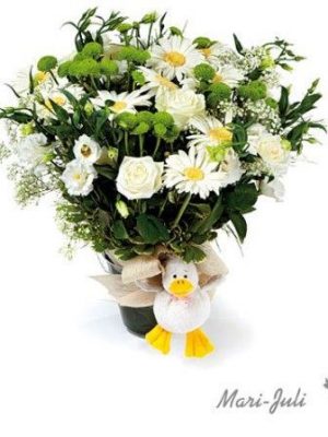 Ref.FMJ0020.Planta Decorada Esperanza .