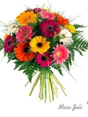 Ref.F0029.Ramo gerberas variadas multicolor Mediodia.