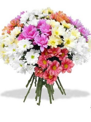 Ref.FMJ0129. Ramo de Margaritas de colores