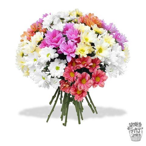 Ref.FMJ0129. Ramo de Margaritas de colores