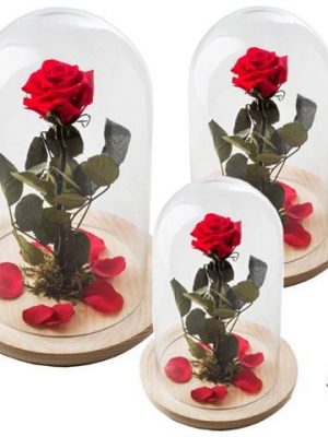 Ref.FMJ0130.Rosa encantada del amor eterno.(a partir de 15€)