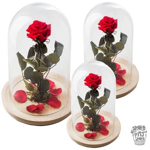 Ref.FMJ0130.Rosa encantada del amor eterno.(a partir de 15€)