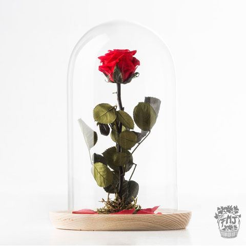 Ref.FMJ0130.Rosa encantada del amor eterno.(a partir de 15€)