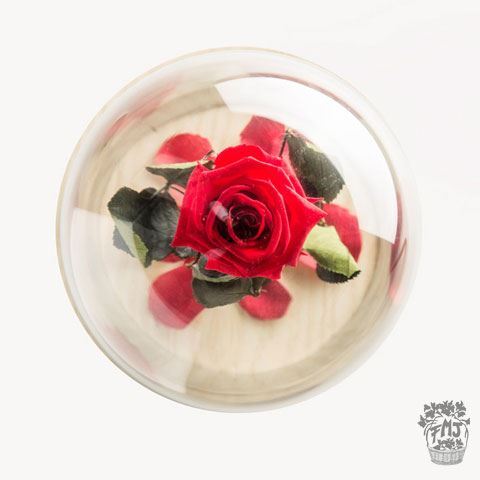 Ref.FMJ0130.Rosa encantada del amor eterno.(a partir de 15€)