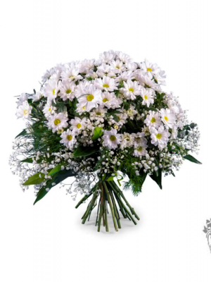 Ref.202102.Ramo de margaritas blancas en redondo