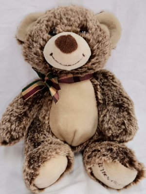 Ref.111510062021 Oso Peluche