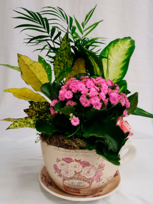 Ref.112110062021 Taza Plantas