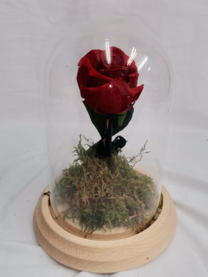 Ref.112410062021 Cúpula con Rosa