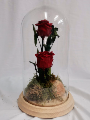 Ref.112710062021 Cúpula de dos Rosas