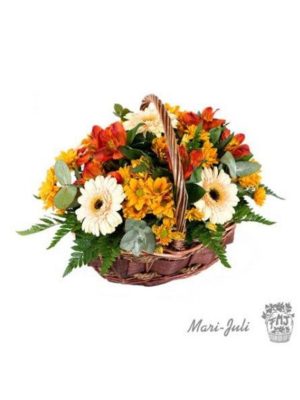 Ref.111410062021 Cesta de plantas variadas